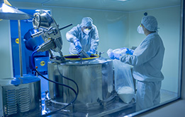 Transport Phenomena in Bioprocess Engineering