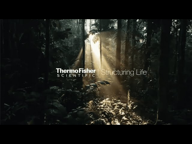 Next Gen Cryo-EM - Advancing Cellular and Structural Biology