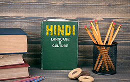 Hindi Bhasha Bodh (?????? ???? ???)