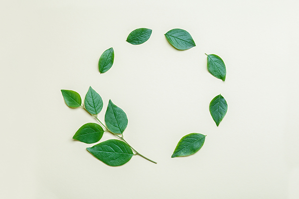 LCA for Sustainable Engineering, Architecture, and Design