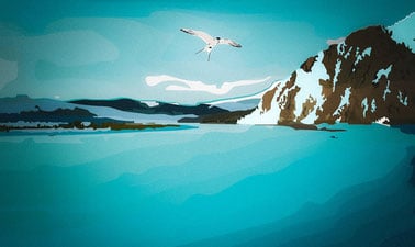 Navigating Actionable Science in the Arctic