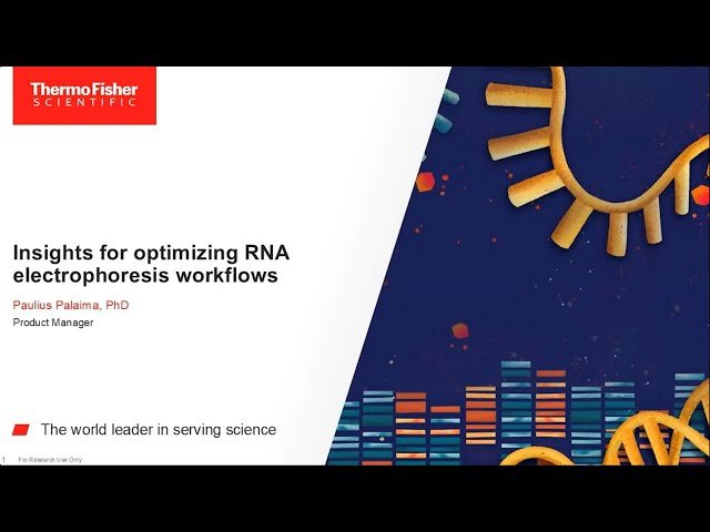 Insights for Optimizing RNA Electrophoresis Workflows