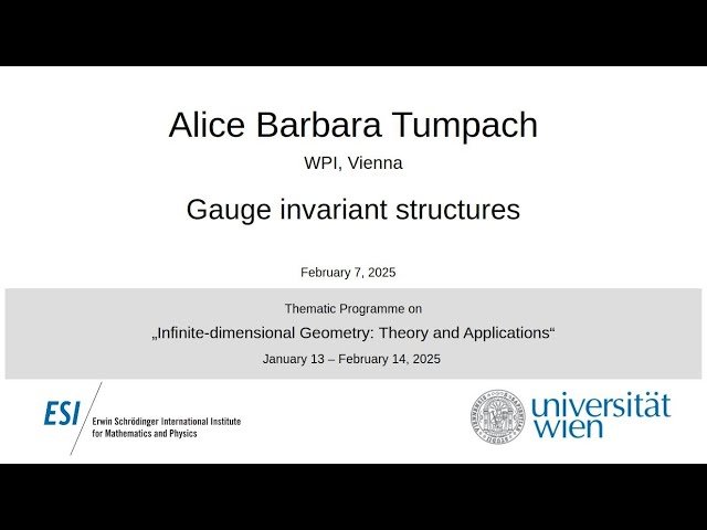 Gauge Invariant Structures in Infinite-dimensional Geometry