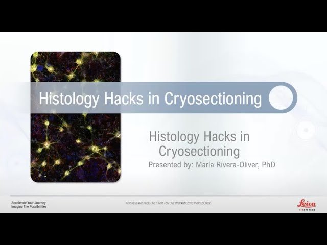 Histology Hacks for Cryosectioning - Essential Techniques for Quality Research Specimens