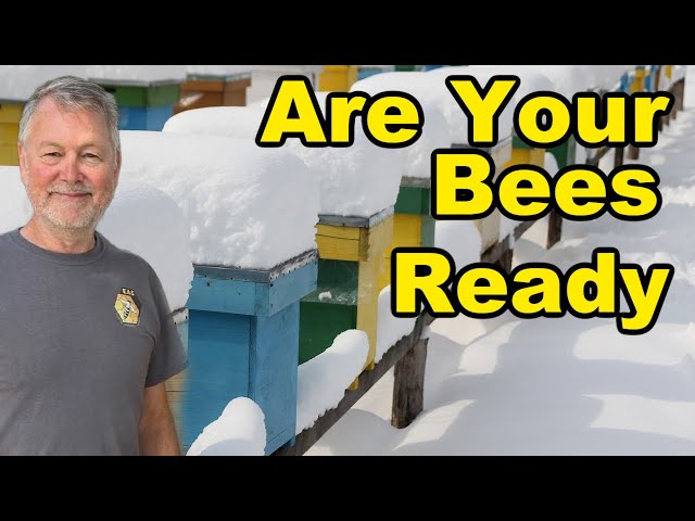 Beekeeping Preparation for Winter and Fall and Winter Nutrition