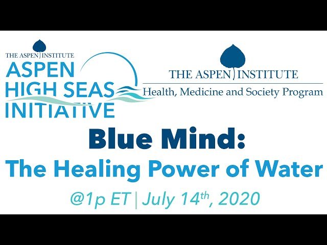 Blue Mind - The Healing Power of Water