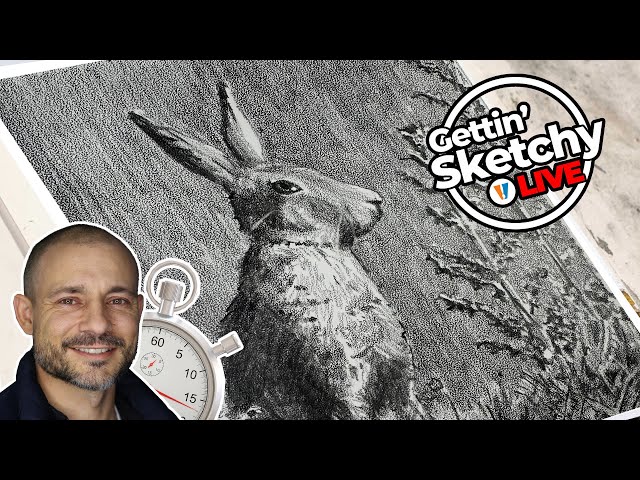 Graphite Drawing on Stipple Paper - Hare