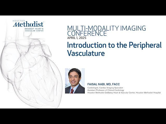 Introduction to the Peripheral Vasculature