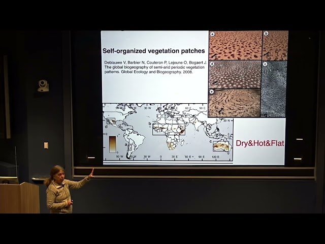 Self-Organized Vegetation Patterns in Drylands (April 3, 2025)