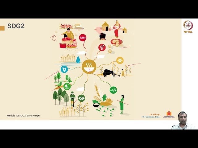 SDG 2: Zero Hunger - Part 2