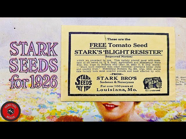 Can I Grow 100 Year Old Tomato Seeds?