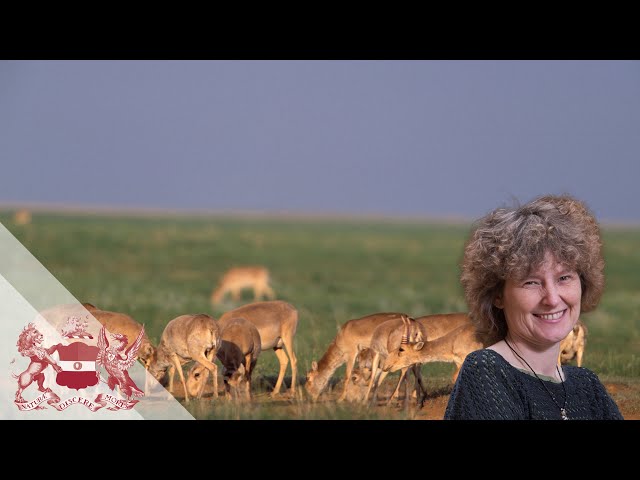 How to Find Optimism at a Time of Biodiversity Crisis