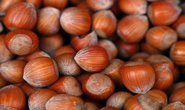 Circular Business Models for Sustainable Urban Food Systems