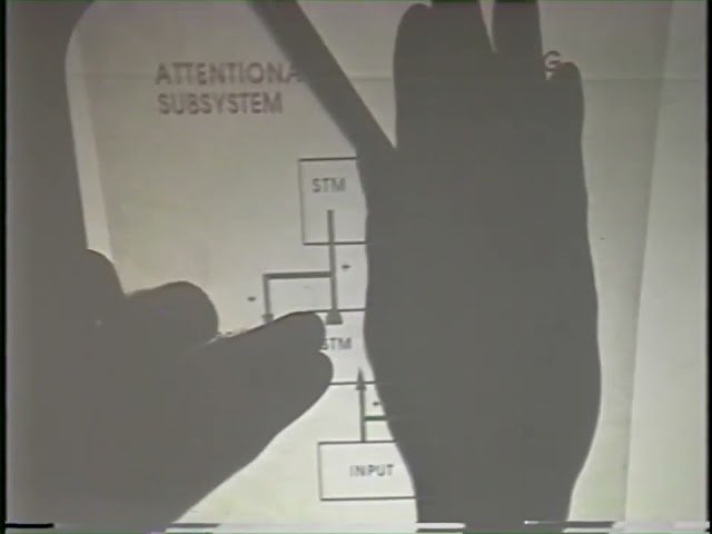 Neural Dynamics of Speech Perception and Word Recognition