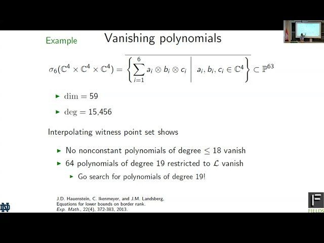 Witness and Pseudowitness Sets in Numerical Algebraic Geometry
