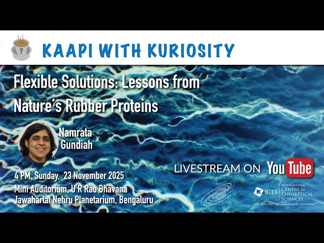 Flexible Solutions - Lessons from Nature's Rubber Proteins