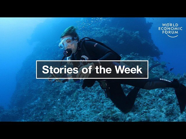Lessons from the Ocean and The Importance of the Night-Time Economy - Top Stories of the Week