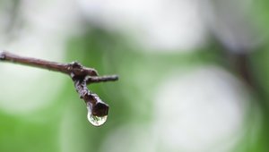 Mieux connaître les liens entre les facteurs environnementaux et les maladies pour mieux les prévenir !