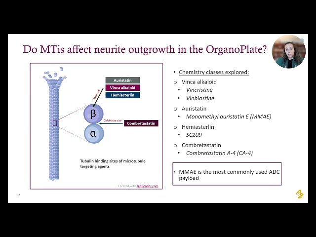Using a High-Throughput Microphysiological System to Model ADC- and Chemotherapy-Induced Peripheral Neuropathy