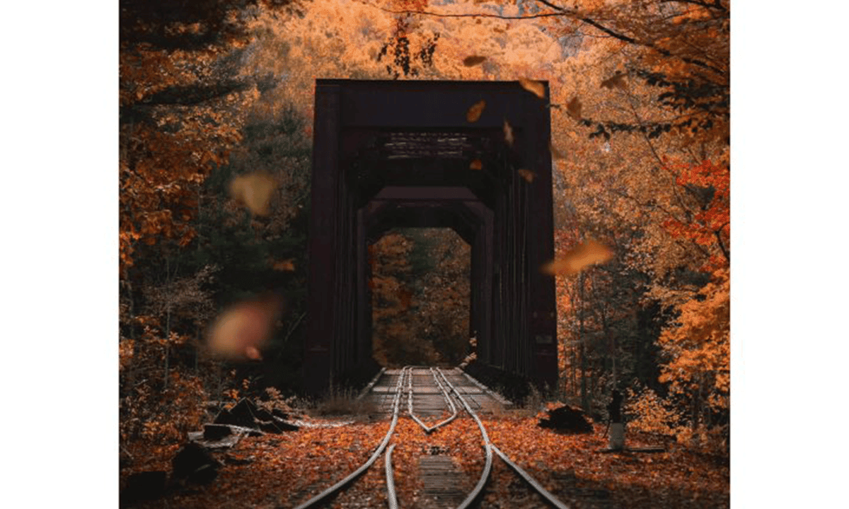 Landscape Photography: Capture the Beauty of Planet Earth