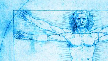 Going Out on a Limb: Anatomy of the Upper Limb