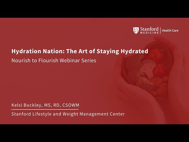 Hydration Nation - The Art of Staying Hydrated