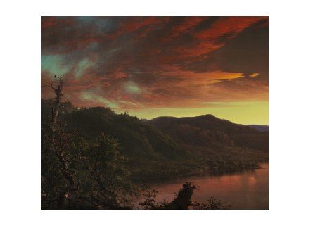 Extinction: Biology, Biodiversity, and the Biosphere (Live Online)