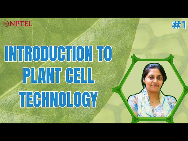 Plant Cell Bioprocessing