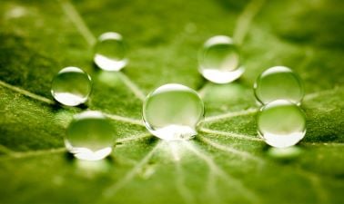 Psychology of Deep Resilience; Addressing Ecoanxiety and Climate Distress for Individual, Social and Ecological Well-being