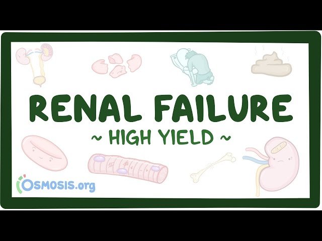 Renal Failure - Pathology Review
