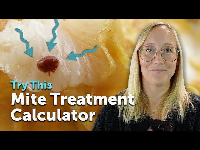 Varroa Mite Calculator - Free Tool to Manage Varroa Mites