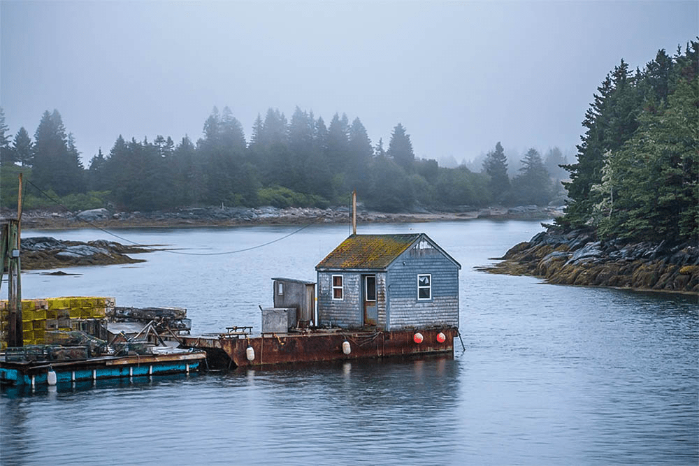 Creative Use of Nature's Light in Landscape Photography (Live Online)