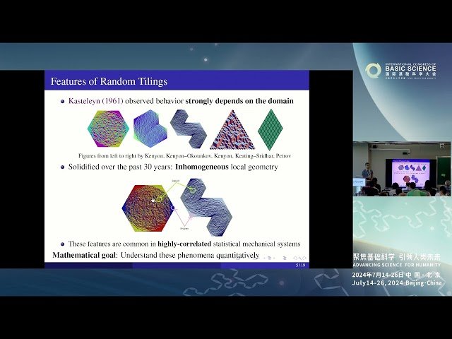 Universality for Lozenge Tiling Local Statistics
