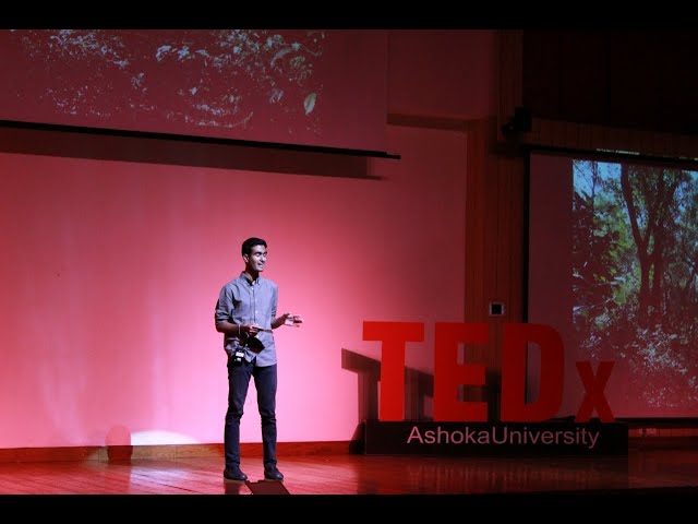 Rediscovering the Clandestine and Captivating World of Plants