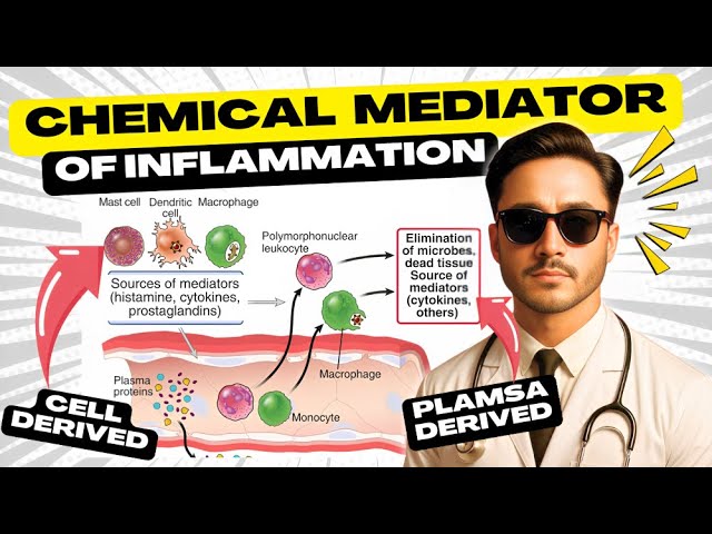 Chemical Mediators of Inflammation Pathology - Cell and Plasma Derived Mediators of Inflammation
