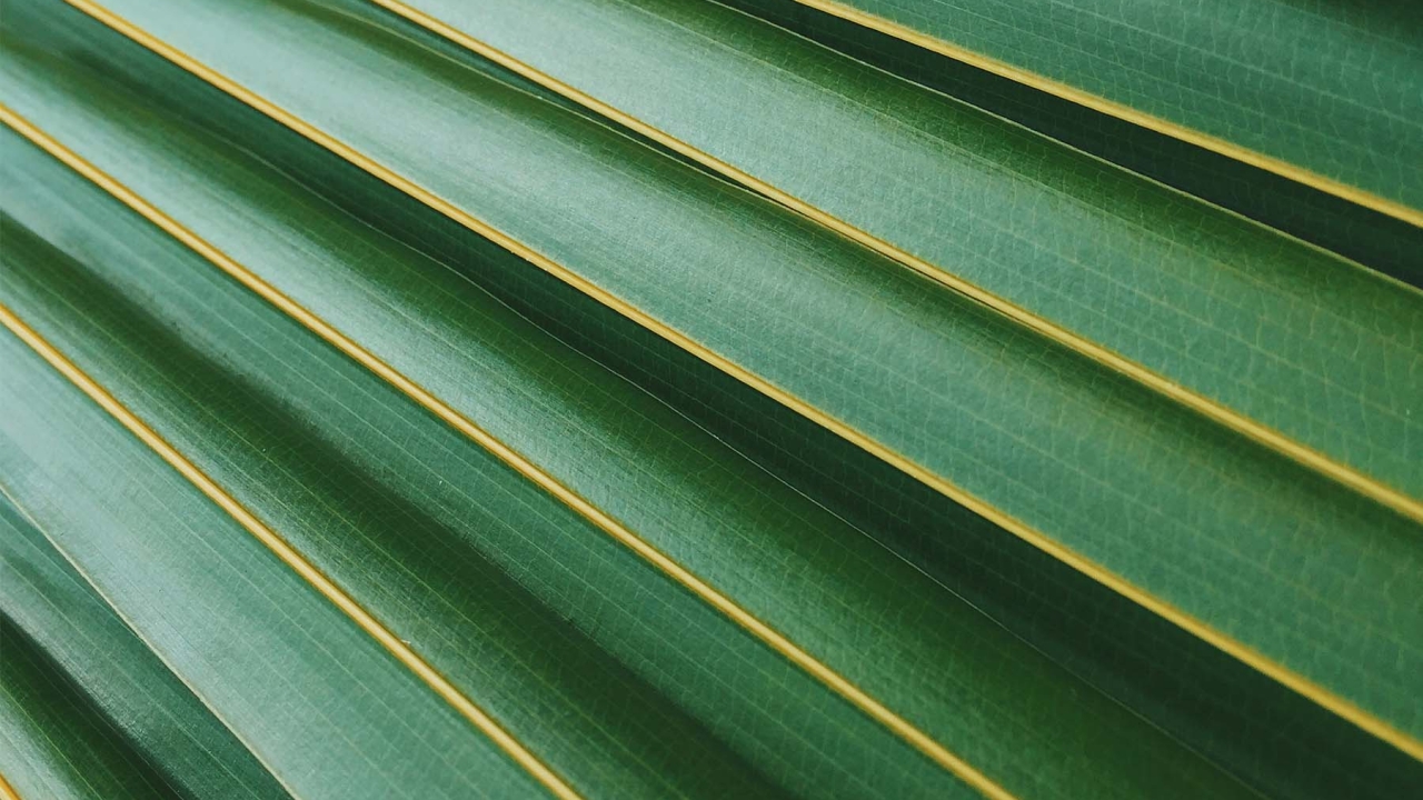 clean-IT: Towards Sustainable Digital Technologies