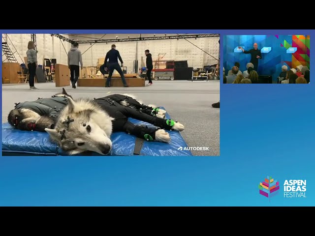 This Is Not a Drill - AI in Action