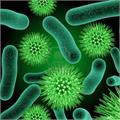 Microbiology, Immunology & Animal Cell Culture
