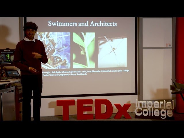 Our Complex Relation with Snakes, Spiders and Centipedes