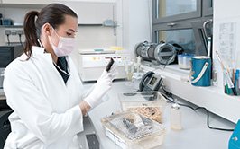 Animal Transgenesis: Principles and Methods