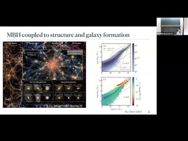 Massive Black Holes on the Move: Mergers, Wanderers, and Observational Signatures from Simulations