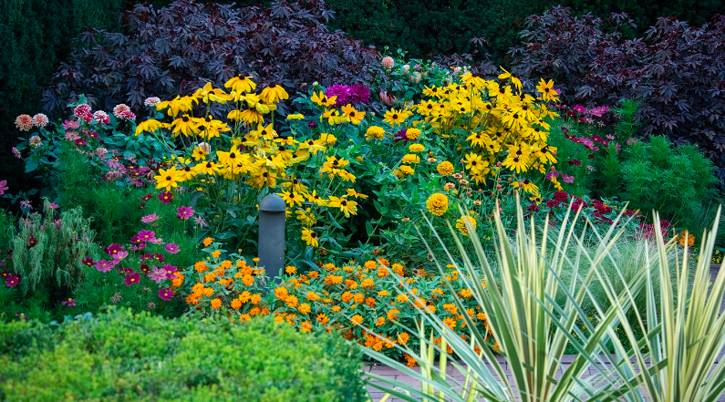 Gardens of the Pros (Live Online)