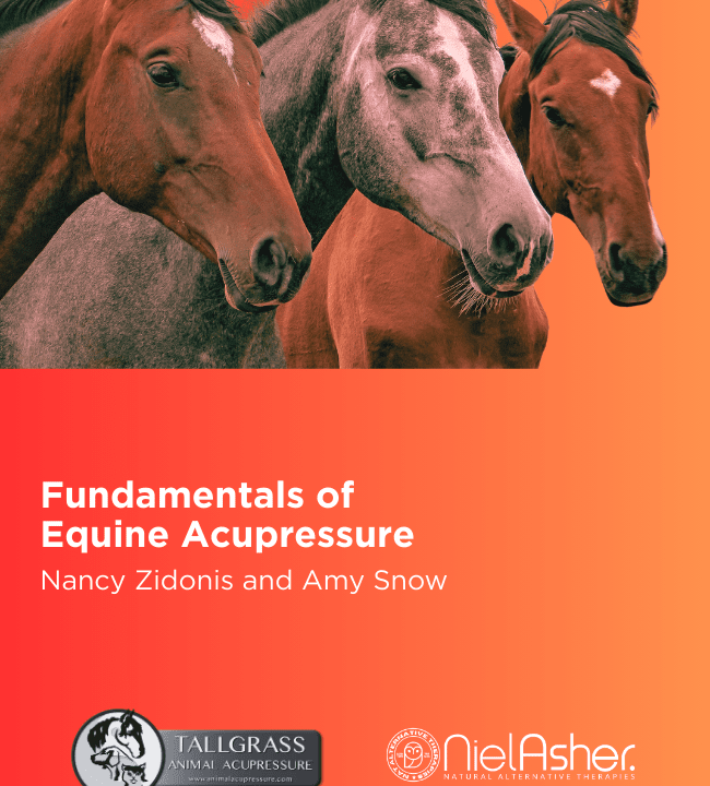 Fundamentals of Equine Acupressure - Level 1
