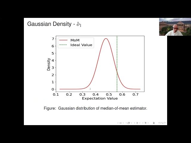 On Quantum and Quantum-Inspired Maximum Likelihood Estimation and Filtering of Stochastic Volatility Models