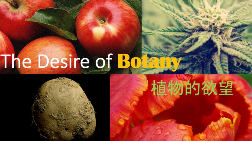 植物的欲望