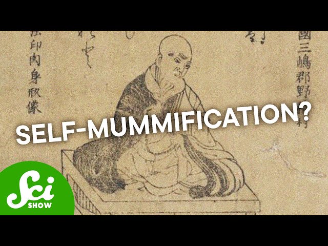 There Are Too Many Ways to Make a Mummy