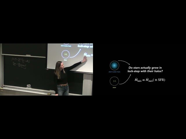 Mysteries of the Distant Universe from the First Few Years of the James Webb Space Telescope