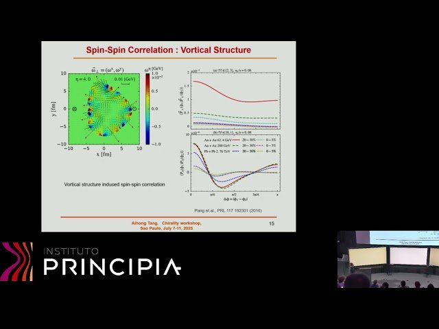 Probing Spin Dynamics, Polarization, and Chiral Magnetic Effects in Heavy-Ion Collisions