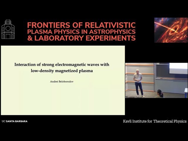 Interaction of Strong Electromagnetic Waves with a Low-Density Magnetized Plasma