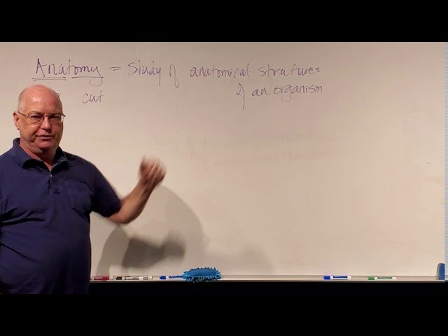 Anatomy and Physiology I - Terminology, Chemistry, Cells and Organelles - Test 1 Videos